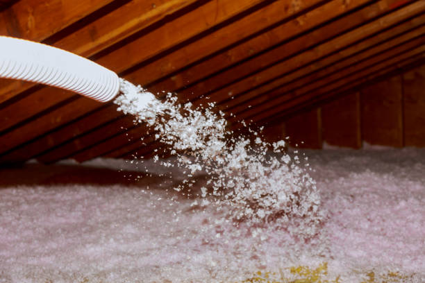 Best Energy Efficiency Solutions in Taylor Lake Village, TX