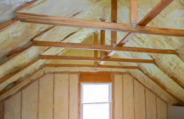 Best Insulation Maintenance and Repair in Taylor Lake Village, TX